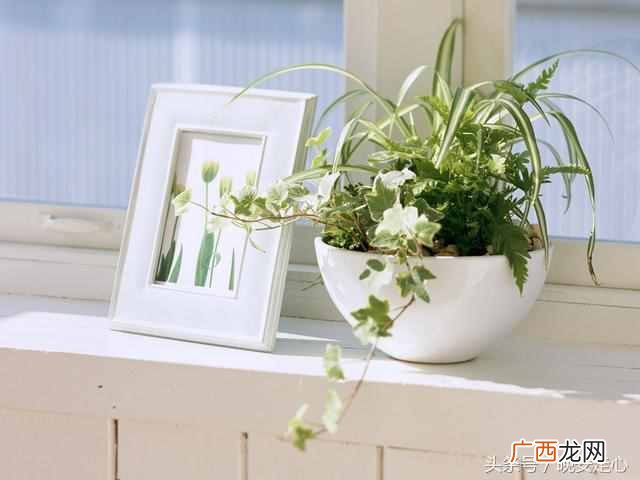 循规蹈矩是什么意思？循规蹈矩注定一事无成吗