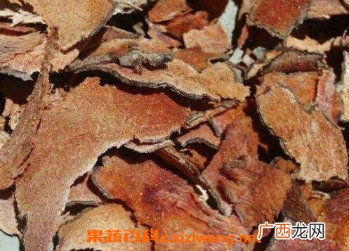 九牛力泡酒的功效好吗 九牛力泡酒的功效