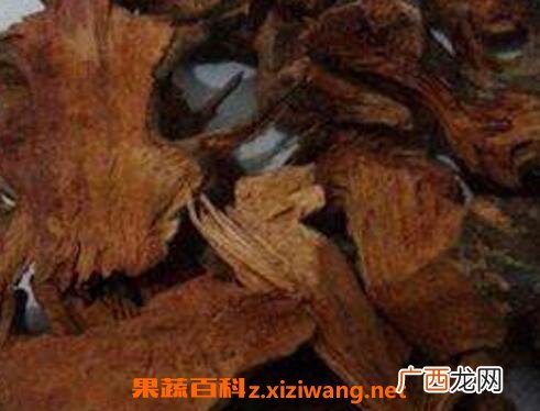 九牛力泡酒的功效好吗 九牛力泡酒的功效