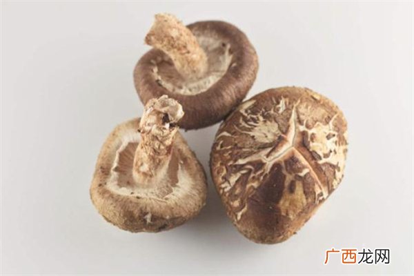 冬菇是什么冬菇是发物吗
