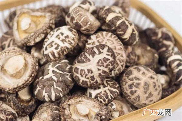 孕妇可以吃冬菇吗冬菇适合什么人吃