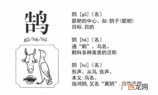 鸿鹄是什么鸟？鸿鹄是大雁还是天鹅