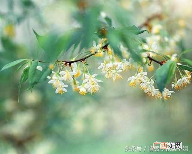 什么是社会关系？人的社会关系包括哪些？