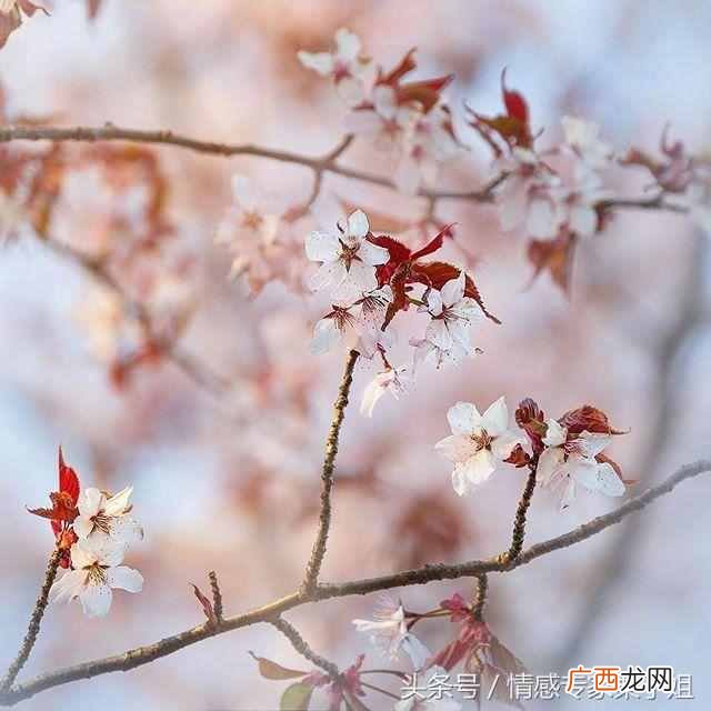 什么是社会关系？人的社会关系包括哪些？