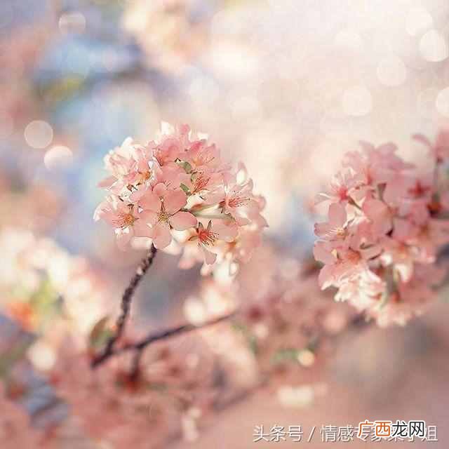 什么是社会关系？人的社会关系包括哪些？