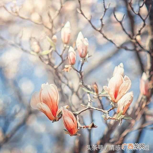 什么是社会关系？人的社会关系包括哪些？