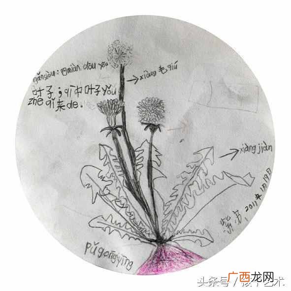 什么叫模式化？模式化教育给孩子带来了什么？