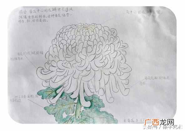 什么叫模式化？模式化教育给孩子带来了什么？