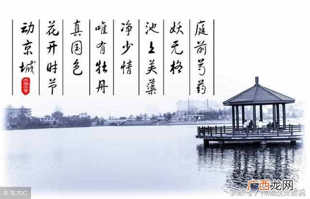 什么是律诗什么是绝句？文学最基本的常识