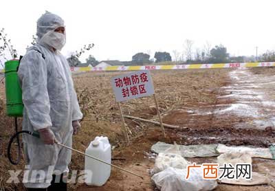病死及病害动物产品 无害化处理技术规范