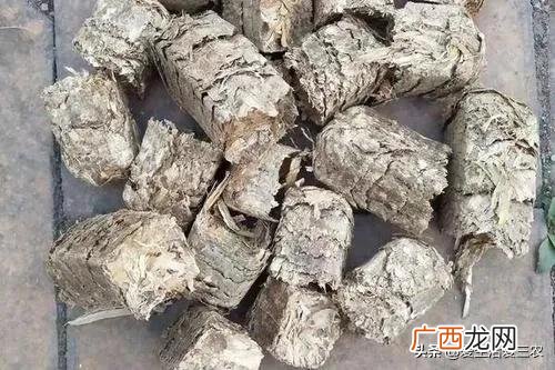 没人注意的暴利行业,在农村什么行业最赚钱投资小