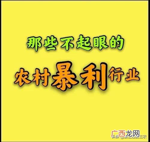 没人注意的暴利行业,在农村什么行业最赚钱投资小