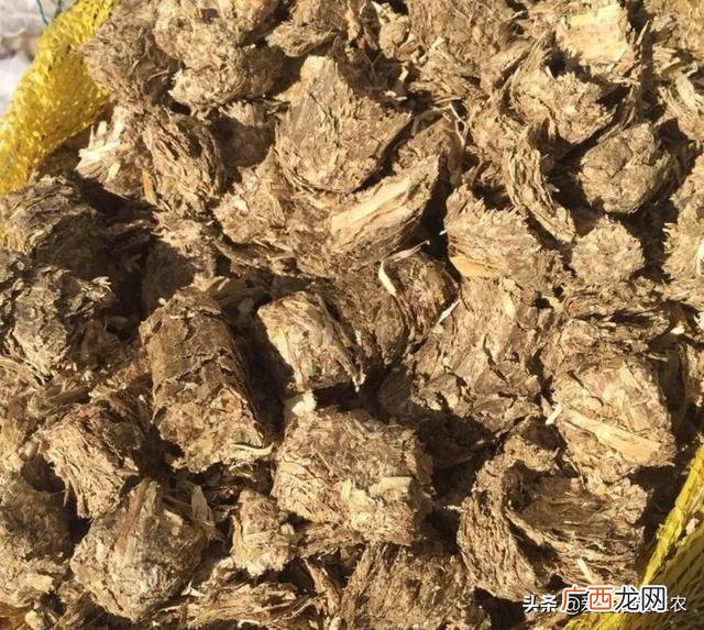 没人注意的暴利行业,在农村什么行业最赚钱投资小