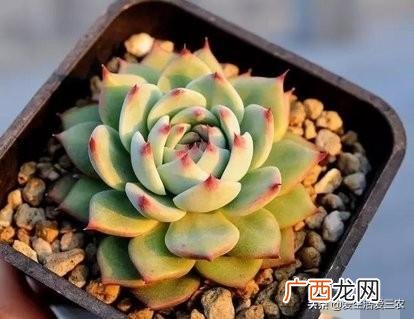 没人注意的暴利行业,在农村什么行业最赚钱投资小