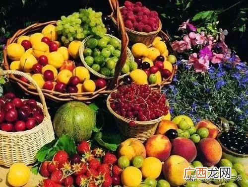 没人注意的暴利行业,在农村什么行业最赚钱投资小