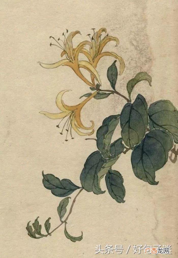 适合发说说的古风句子 古风说说