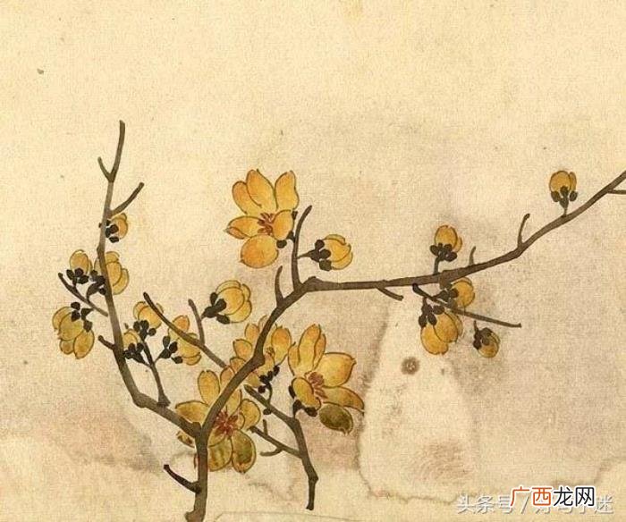 适合发说说的古风句子 古风说说