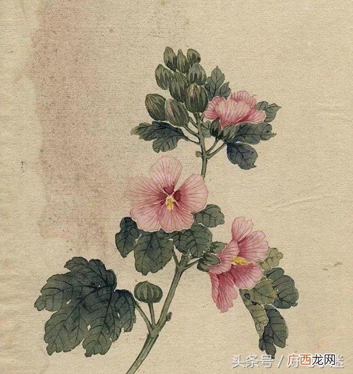 适合发说说的古风句子 古风说说
