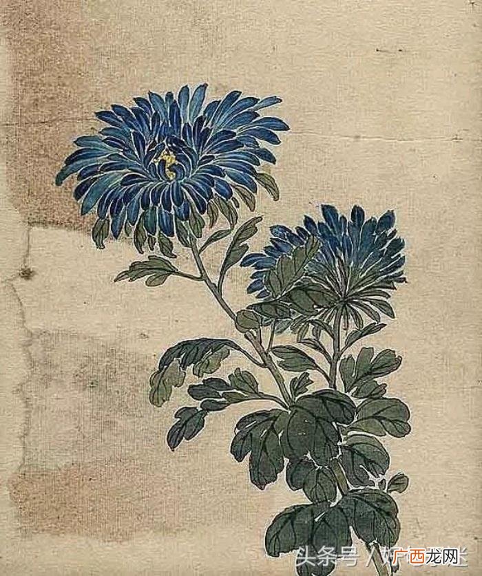 适合发说说的古风句子 古风说说