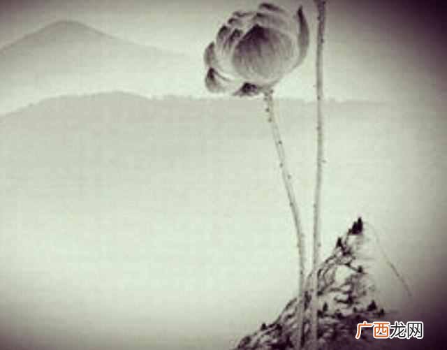 一尘不染是什么意思？