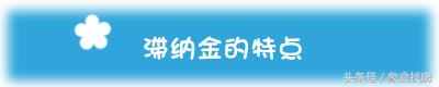 什么是滞纳金？滞纳金怎么计算（有了这个神器