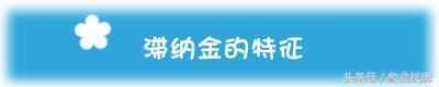 什么是滞纳金？滞纳金怎么计算（有了这个神器