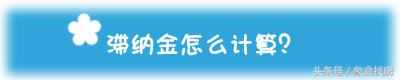 什么是滞纳金？滞纳金怎么计算（有了这个神器