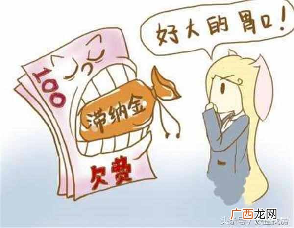 什么是滞纳金？滞纳金怎么计算（有了这个神器
