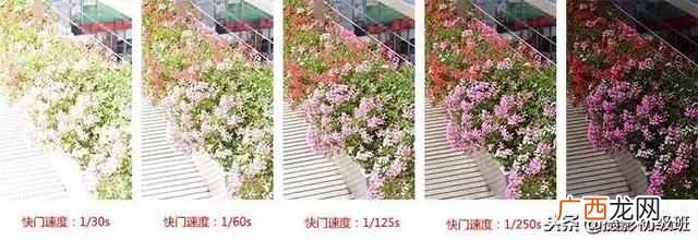 相机光圈和焦距是什么意思？新手必看入门知识