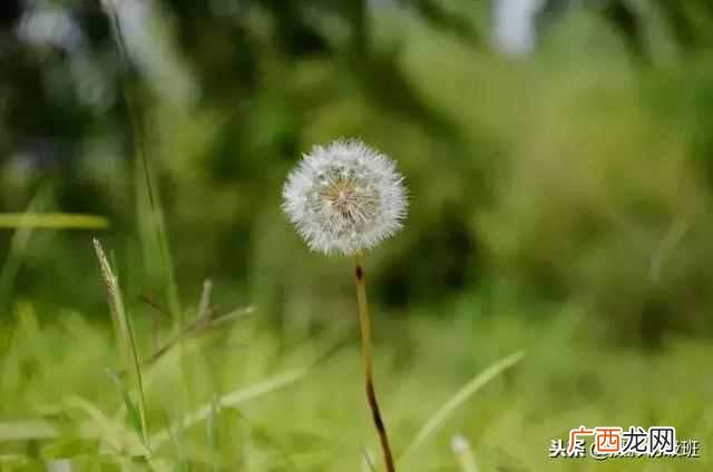 相机光圈和焦距是什么意思？新手必看入门知识