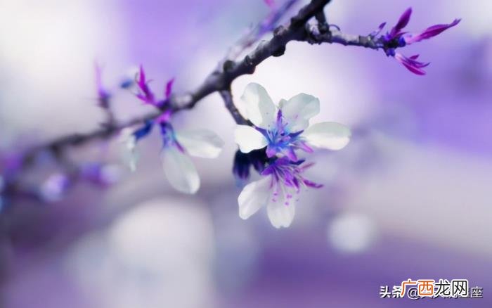 感情上非常理智的女生，在感情中从来不会吃亏