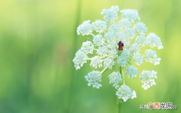 感情上非常理智的女生，在感情中从来不会吃亏