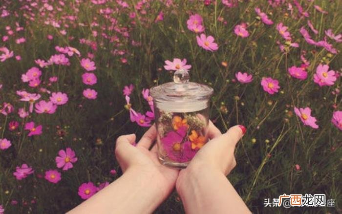 感情上非常理智的女生，在感情中从来不会吃亏