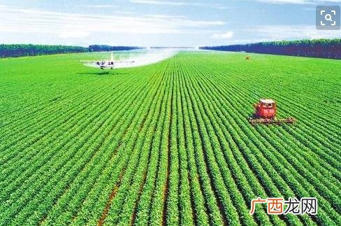 我想做生意没钱没经验 想开店没本钱可以贷款吗