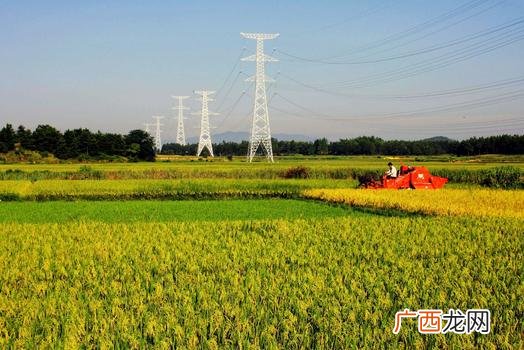 我想做生意没钱没经验 想开店没本钱可以贷款吗