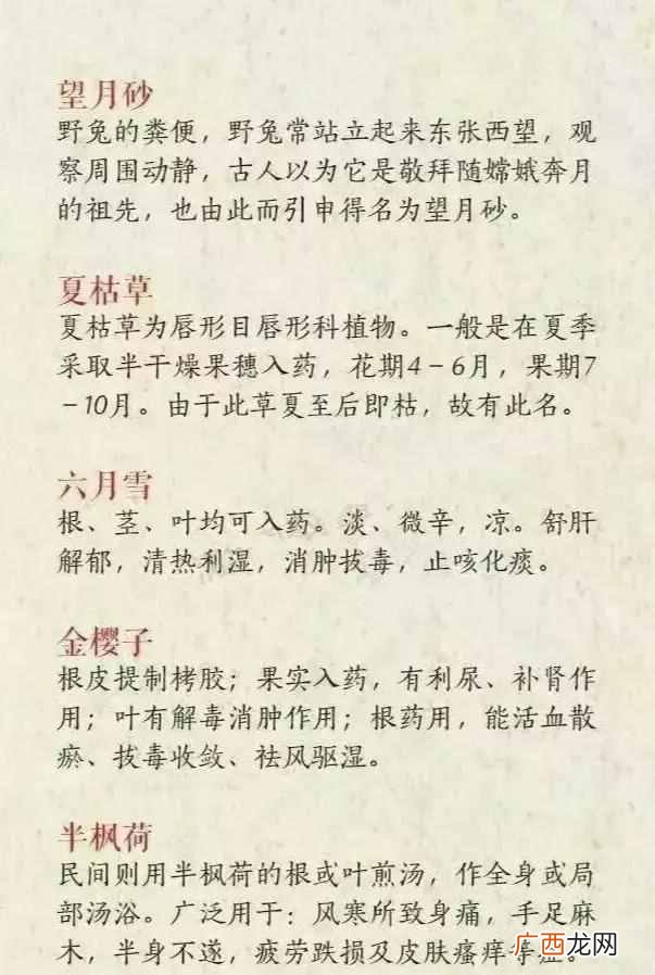 有什么好的网名昵称吗？这些也是不错的选择