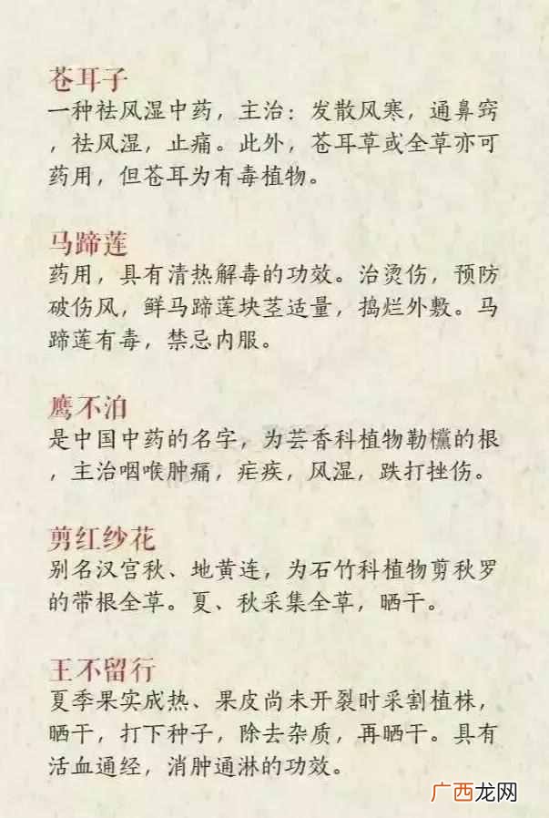 有什么好的网名昵称吗？这些也是不错的选择