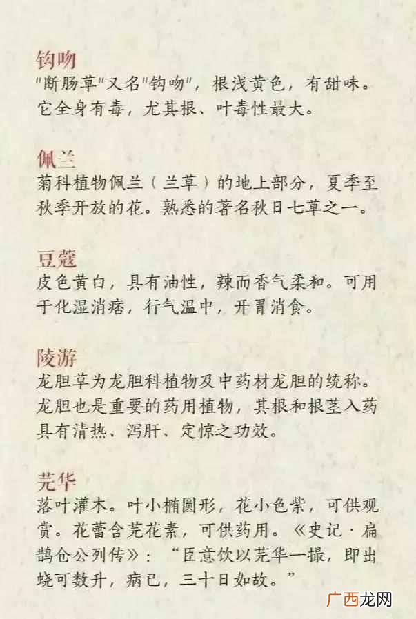 有什么好的网名昵称吗？这些也是不错的选择