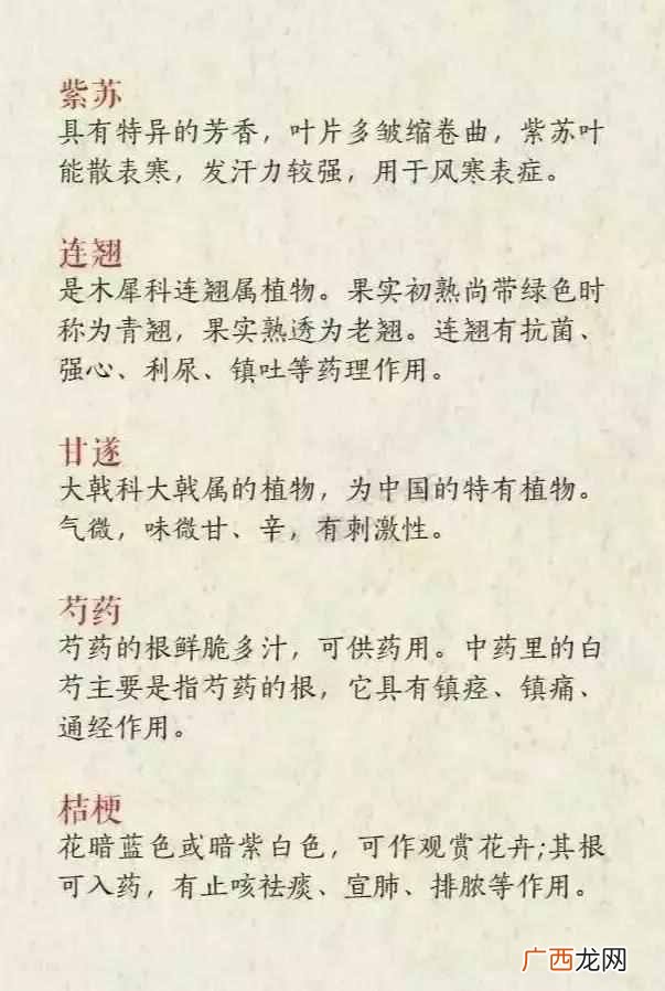 有什么好的网名昵称吗？这些也是不错的选择