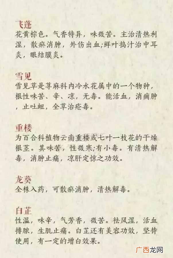 有什么好的网名昵称吗？这些也是不错的选择
