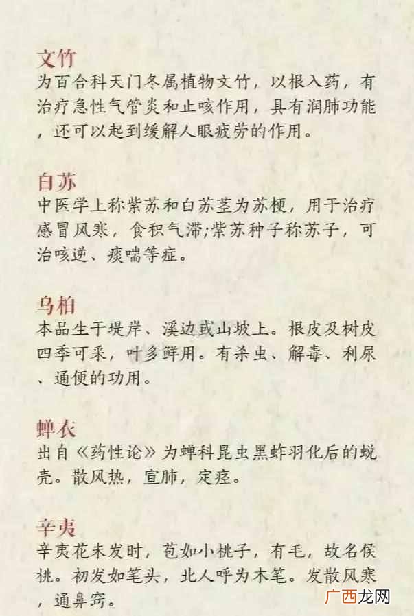 有什么好的网名昵称吗？这些也是不错的选择