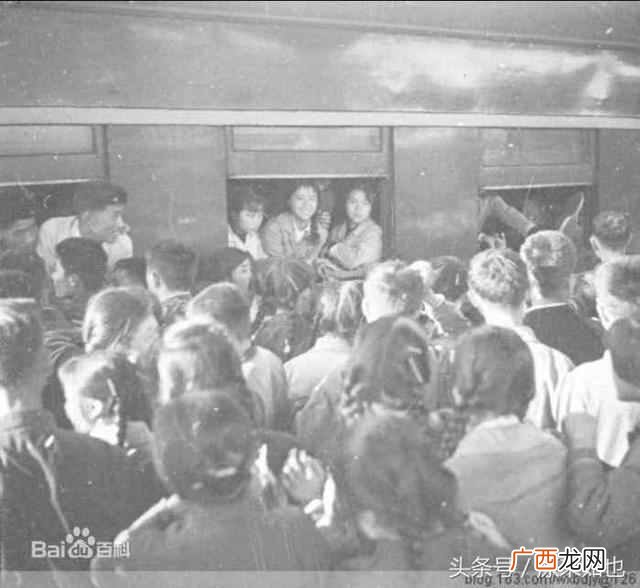老三届是什么意思？老三届是哪一年出生的