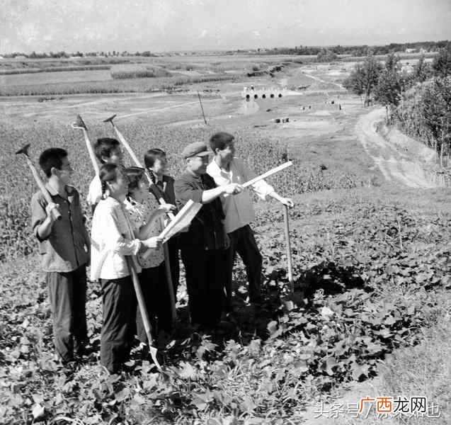 老三届是什么意思？老三届是哪一年出生的