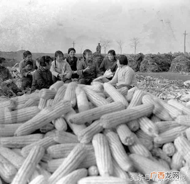 老三届是什么意思？老三届是哪一年出生的