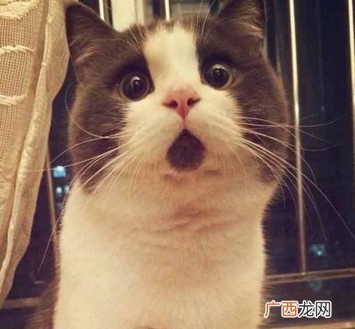 什么是墨菲定律？举个例子你就明白了