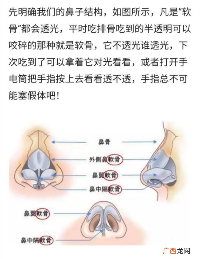 鞠婧祎鼻子算什么类型，鞠婧祎鼻子透光不止一次