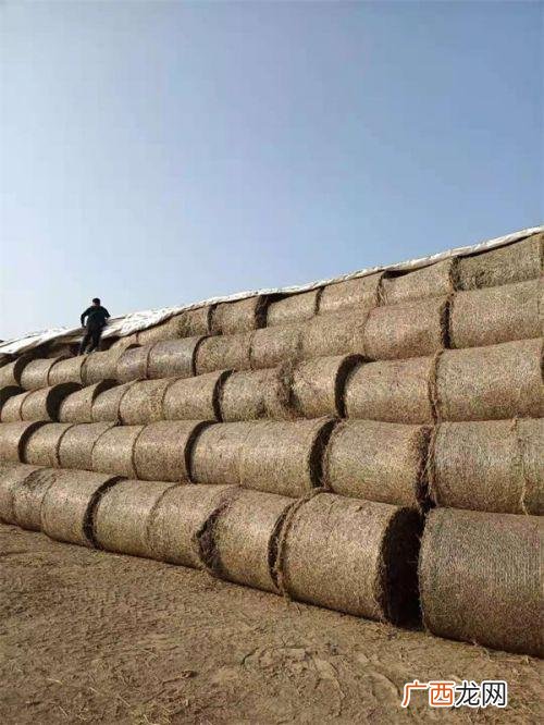 10亩艾叶利润 开一个艾条加工厂要多少钱