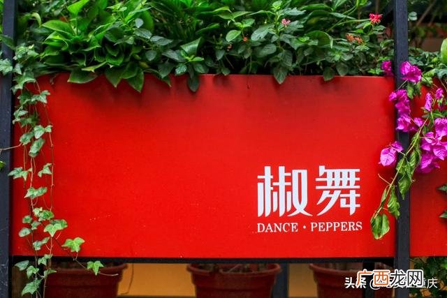 重庆江湖菜做法大全,重庆江湖菜连锁叫什么品牌