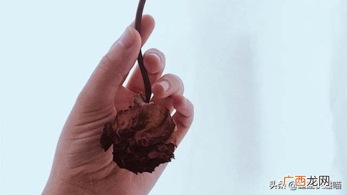 女生失恋后变得更优秀，会让这几个星座变得更优秀