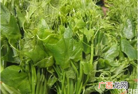 南瓜尖怎么去毛南瓜尖的功效和作用